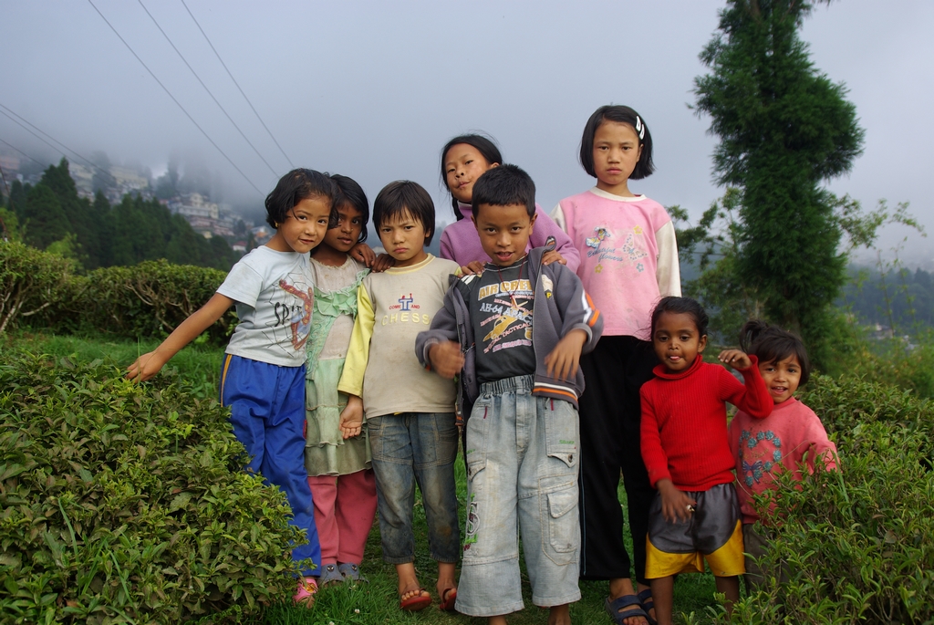 Enfants des plantations, Darjeeling - Inde