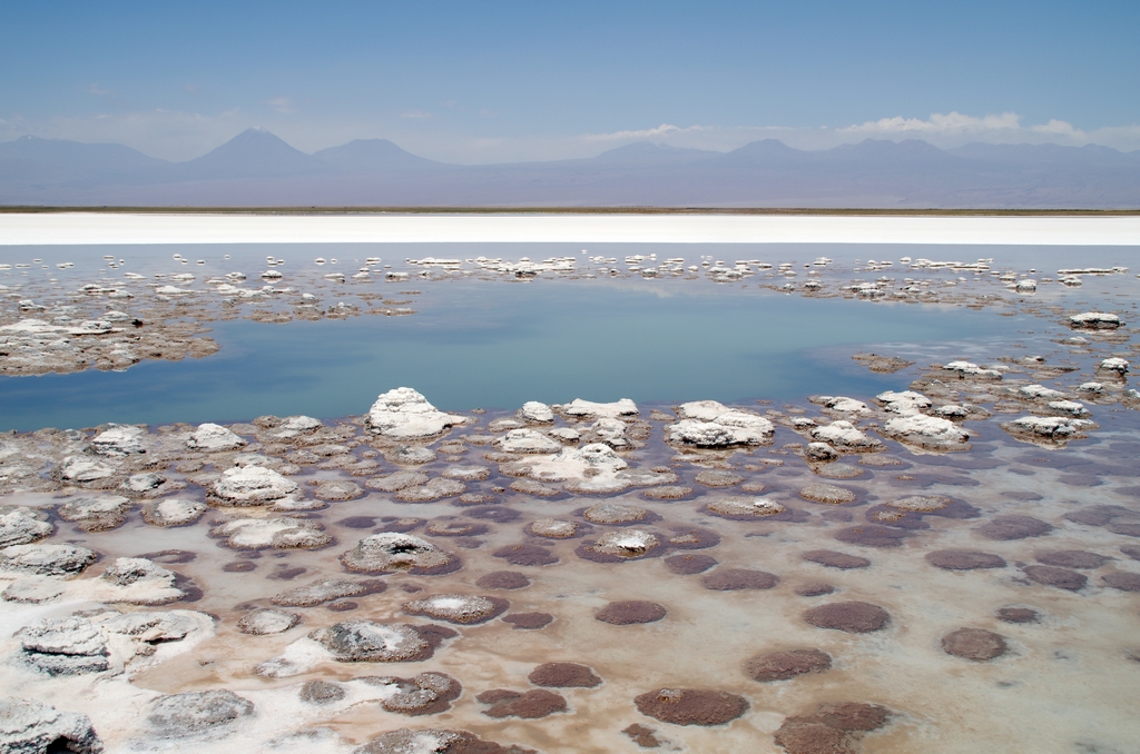 Salar d'Atacama - Chili
