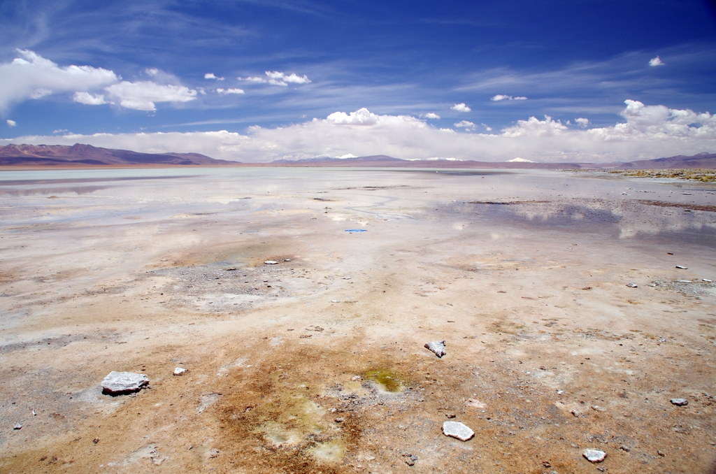 Lac dans l'Altiplano - Bolivie