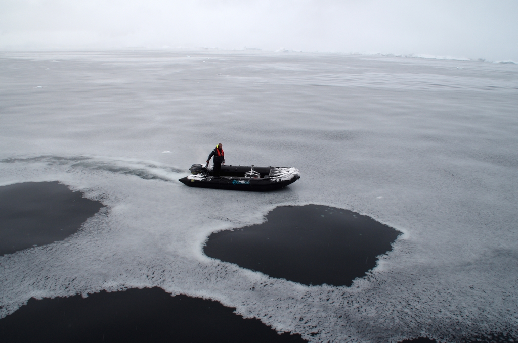 La mer de glace se forme. D'ici quelques jours, la surface sera complétement gelée - Antarctique