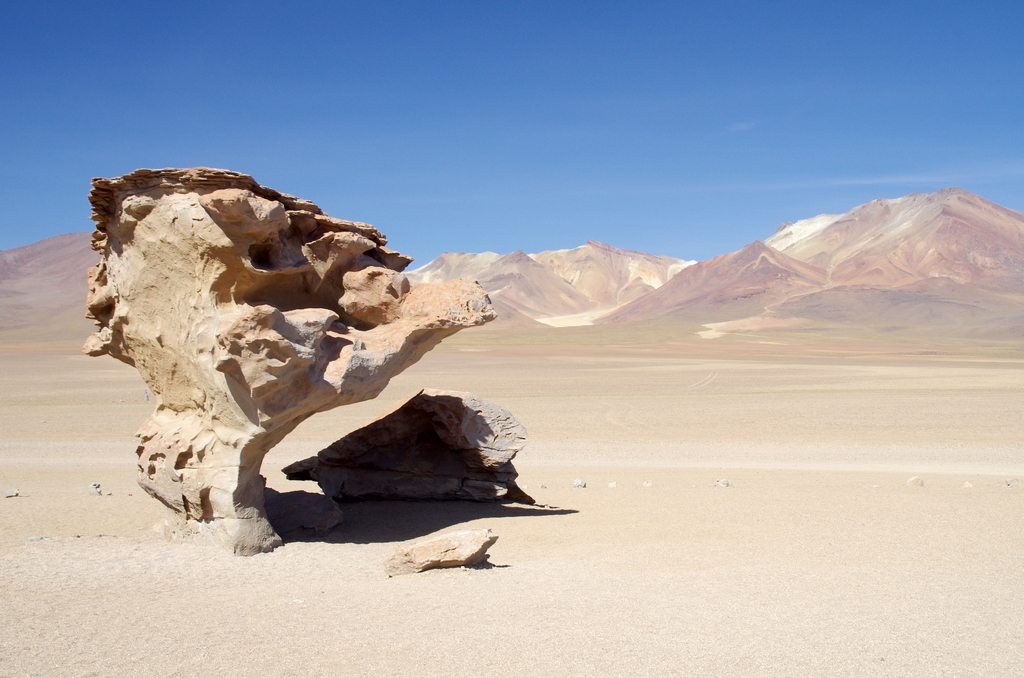 Arbre de pierre - Altiplano, Bolivie
