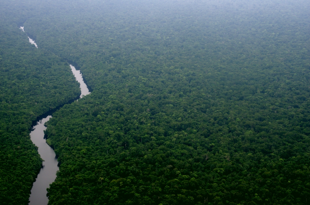 La forêt équatoriale s'étend à perte de vue, telle une mer verte - Gabon