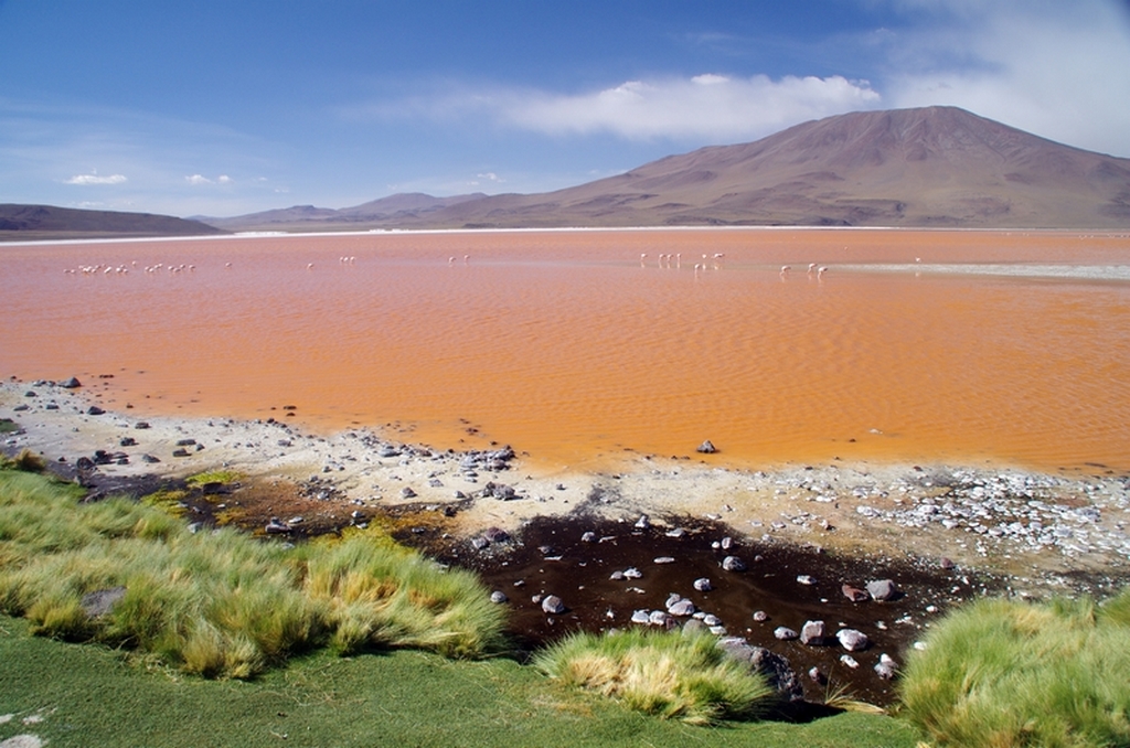 Lac rose - Bolivie