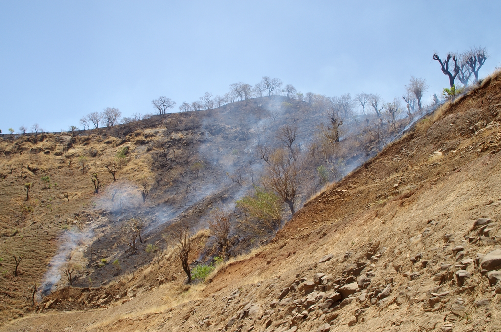 La technique du brûlis reste fortement employée dans le pays. En 50 ans, le pays a perdu 98 % de ses forêts.