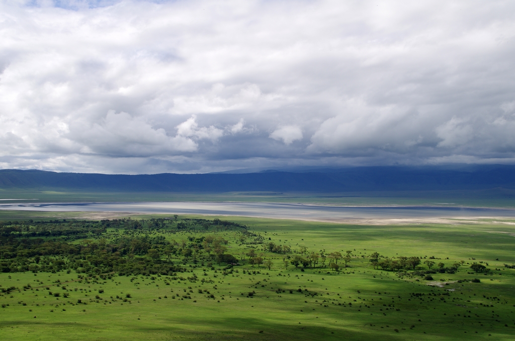 Le cratère du Ngorongo est une caldera de plus de 20 km de diamètre. C'est l'un des rares endroits où il est encore possible d'observer les "Big five", les 5 mammifères emblématiques de l'Afrique décris par Hémingway dans les Neiges du Kilimandjaro - Tanzanie