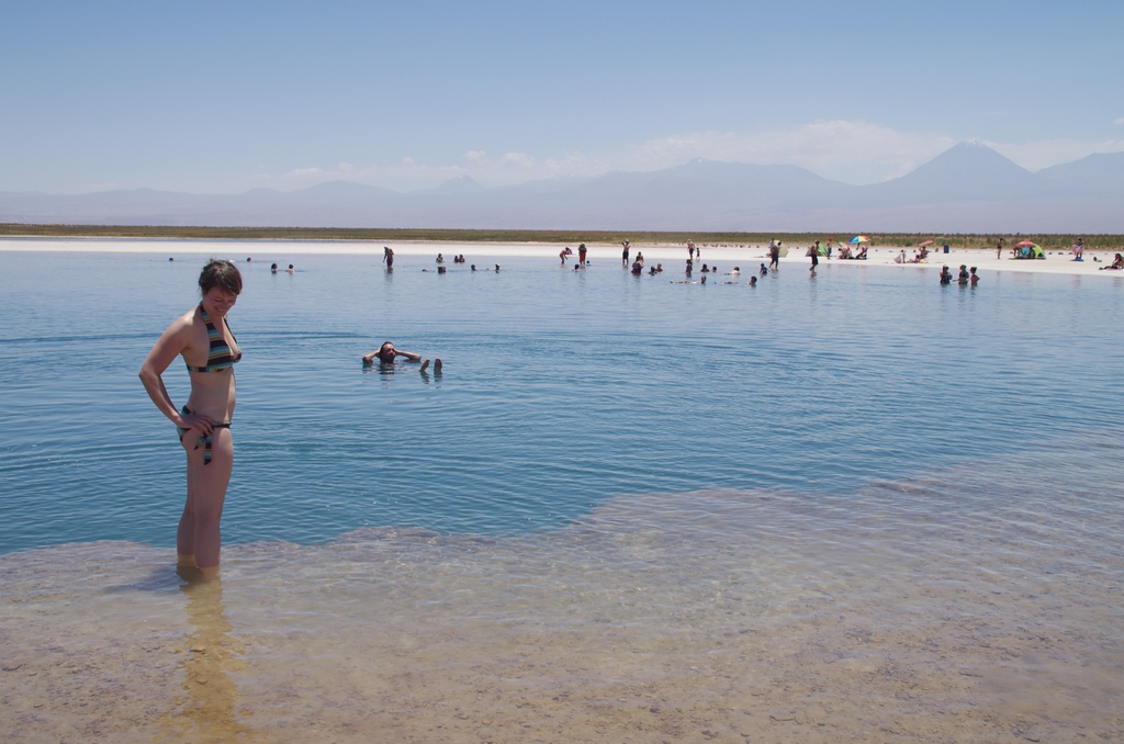 Il existe un lagon plus salé que la Mer morte, au coeur du Salar d'Atacama - Chili
