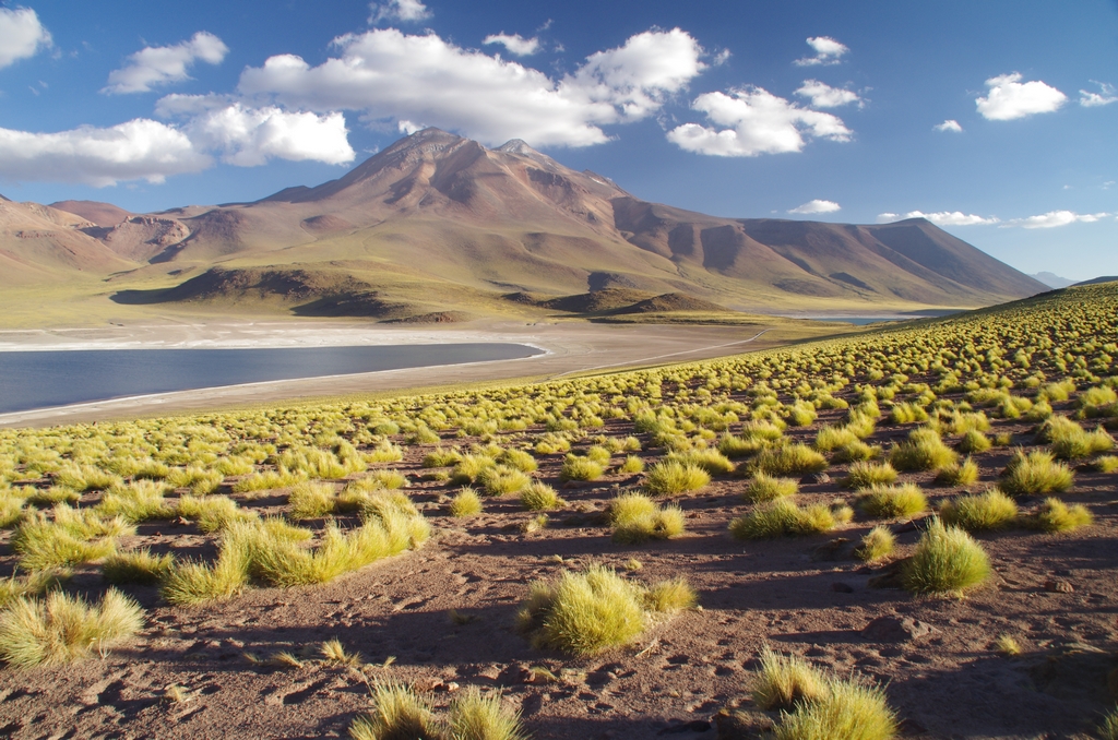 Environs de San Pedro de Atacama - Chili
