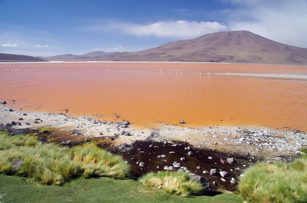 Lac rose - Altiplano, Bolivie