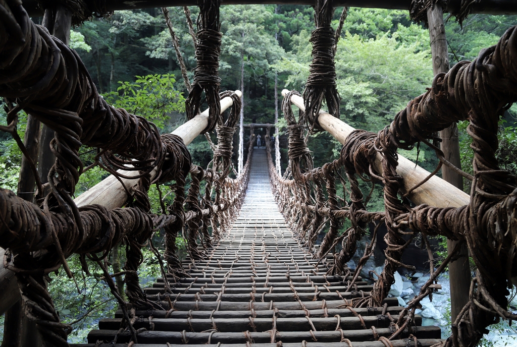 Pont de liane de Shikoku